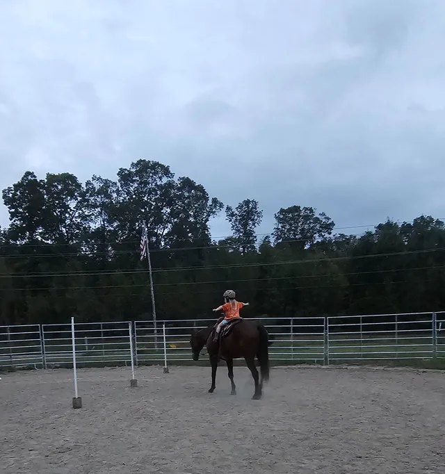 Crossroads Ranch: horsemanship, Mustang training, and Boots & Hooves