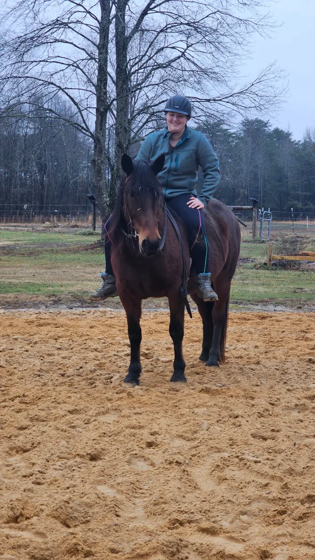 Crossroads Ranch: horsemanship, Mustang training, and Boots & Hooves