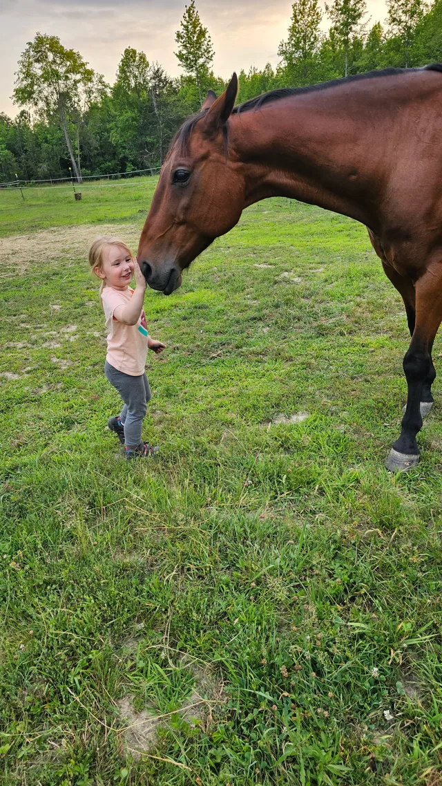 Crossroads Ranch: horsemanship, Mustang training, and Boots & Hooves