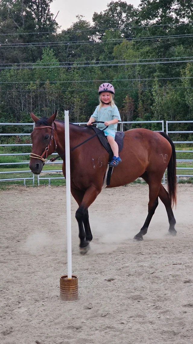 Crossroads Ranch: horsemanship, Mustang training, and Boots & Hooves