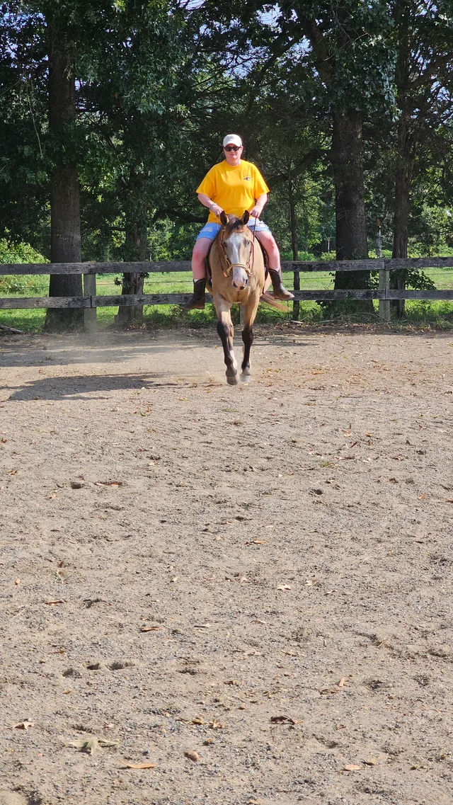 Crossroads Ranch: horsemanship, Mustang training, and Boots & Hooves