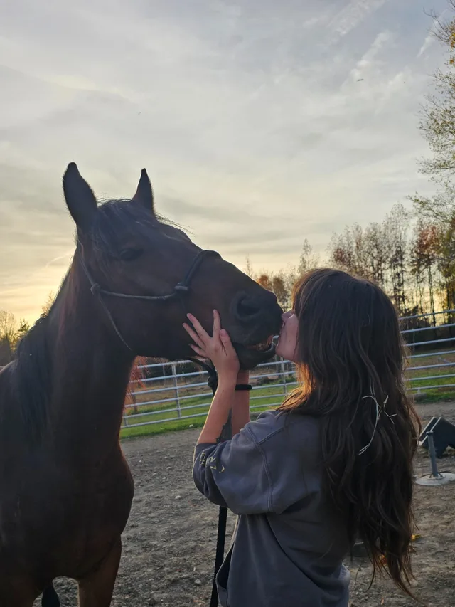 Crossroads Ranch: horsemanship, Mustang training, and Boots & Hooves