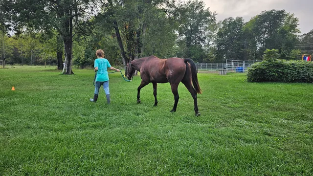 Crossroads Ranch: horsemanship, Mustang training, and Boots & Hooves