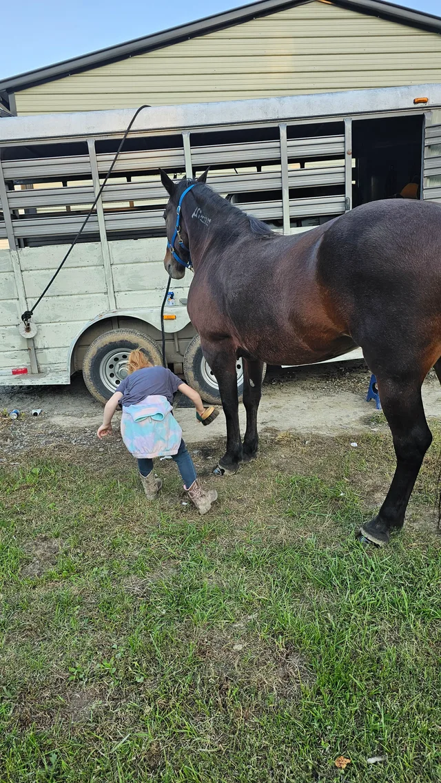 Crossroads Ranch: horsemanship, Mustang training, and Boots & Hooves