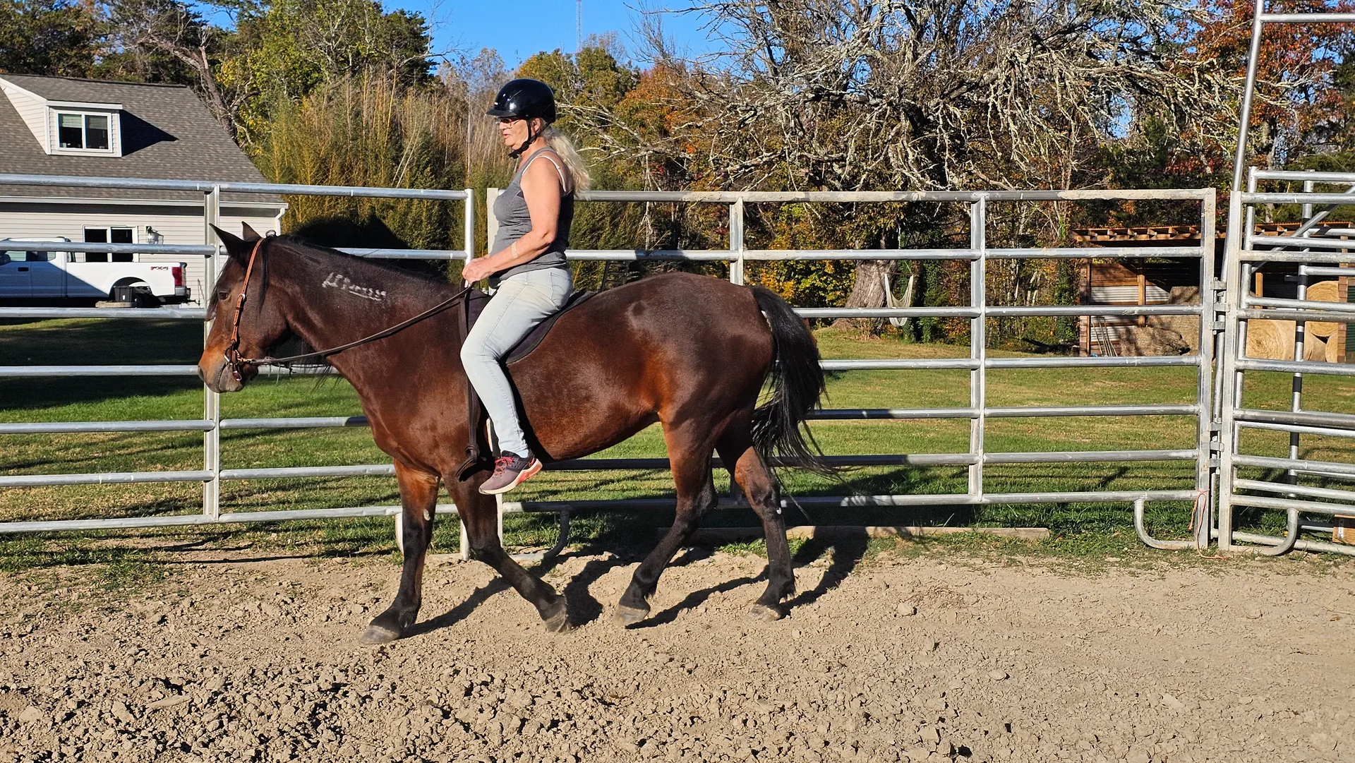 Rider in the arena, Boots and Hooves veteran community program