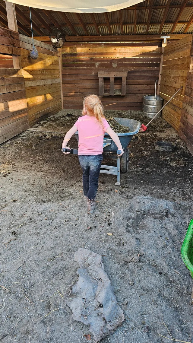 Crossroads Ranch: horsemanship, Mustang training, and Boots & Hooves