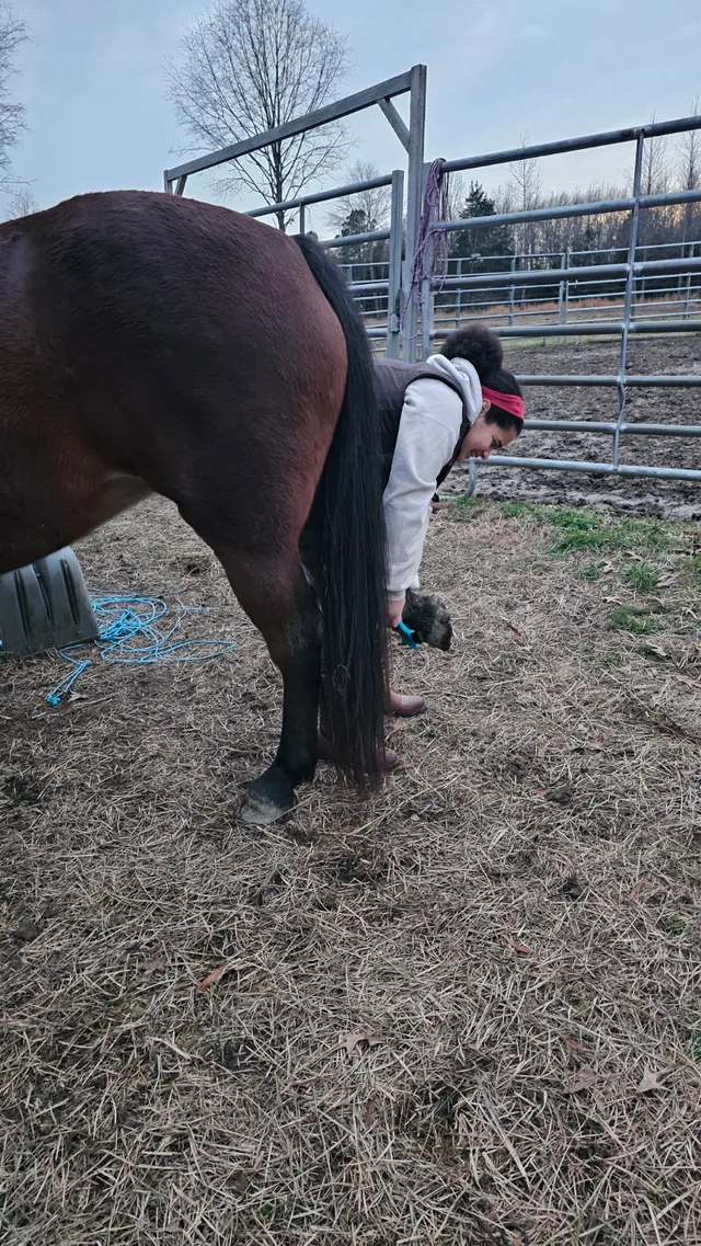 Crossroads Ranch: horsemanship, Mustang training, and Boots & Hooves
