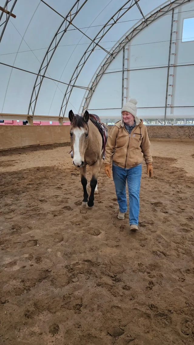 Crossroads Ranch: horsemanship, Mustang training, and Boots & Hooves