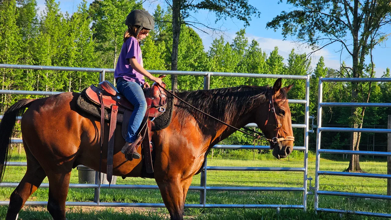 Horseback riding lessons